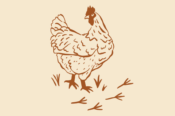 Boneless Skinless Chicken Breast