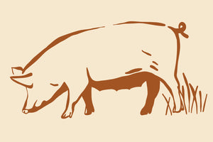 Pork