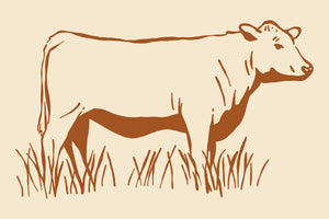 Beef