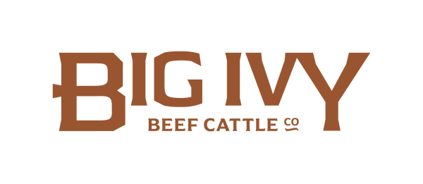Big Ivy Beef Cattle