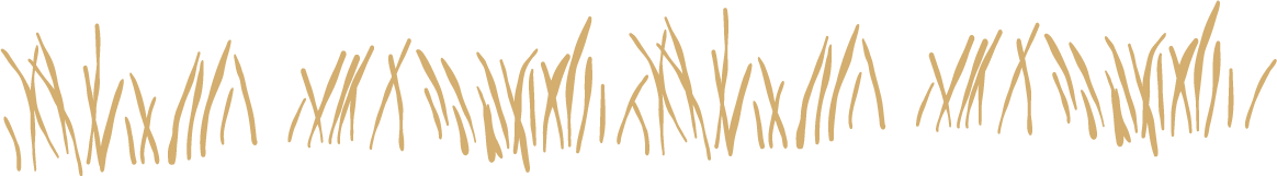 line of illustrated pasture grass in gold color