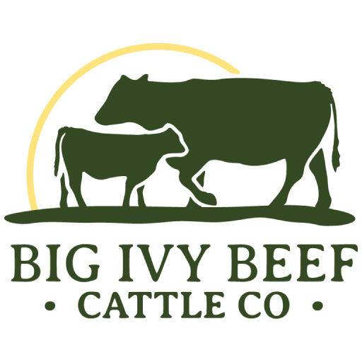 Big Ivy Beef Cattle